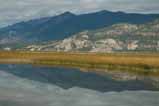 columbia wetlands